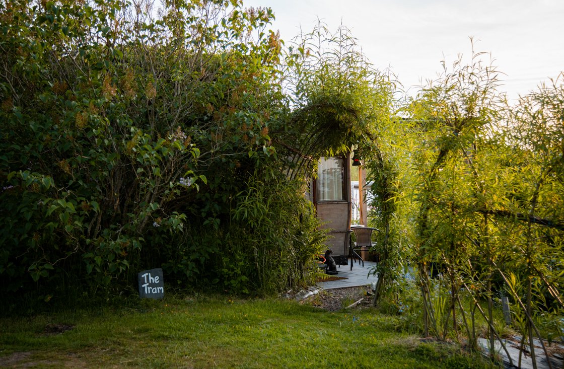 The Garden at Goetre