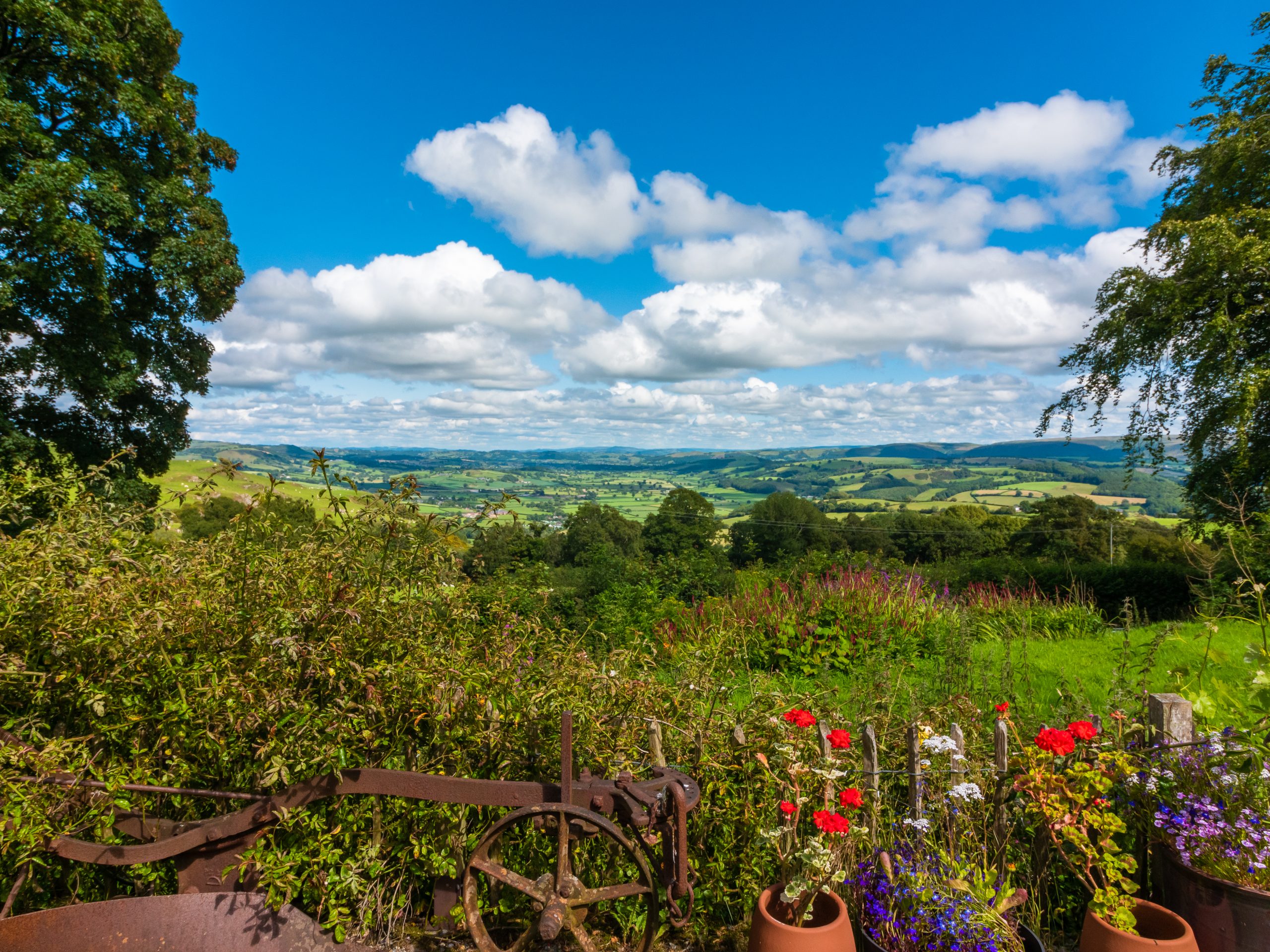 The View from Goetre